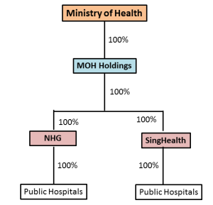 Ex 2--Singapore Hospital Organizational Structure